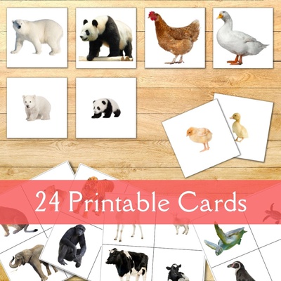 Baby Animal Matching