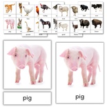 Farm Animals 3-Part Cards