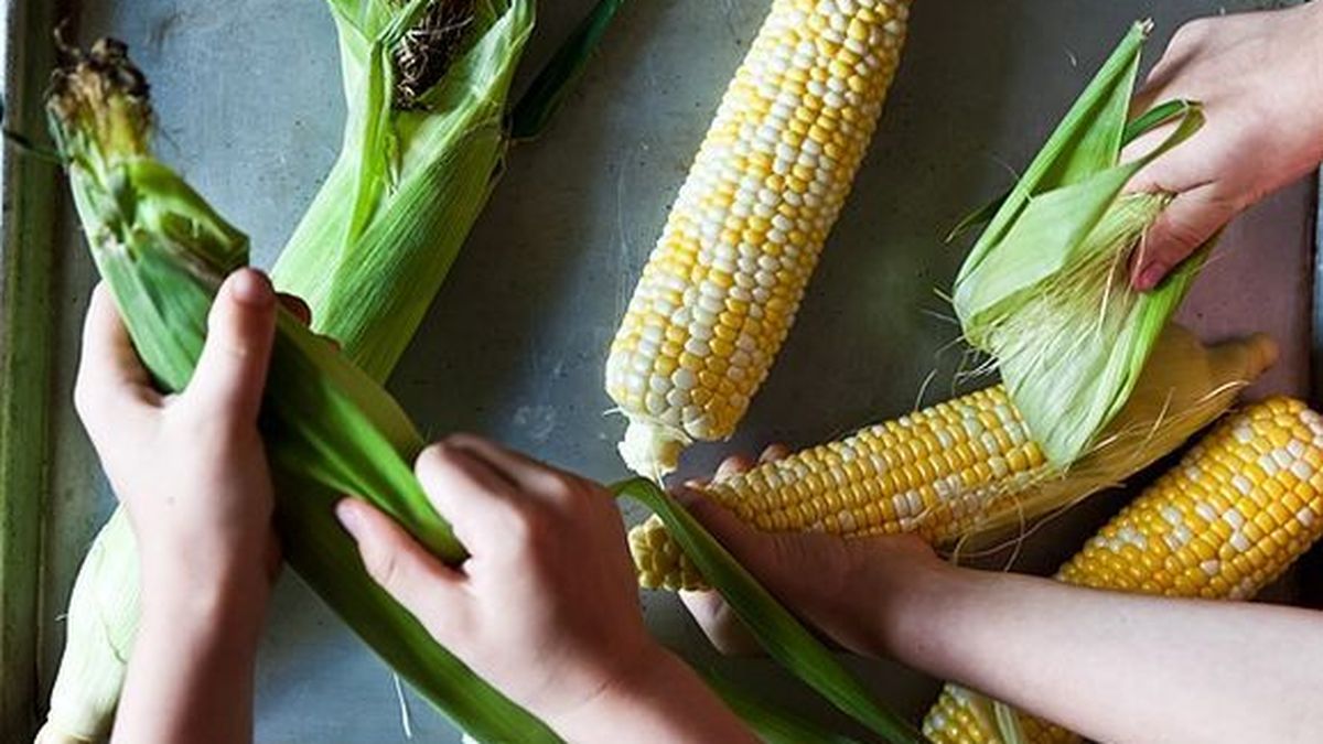Husking corn