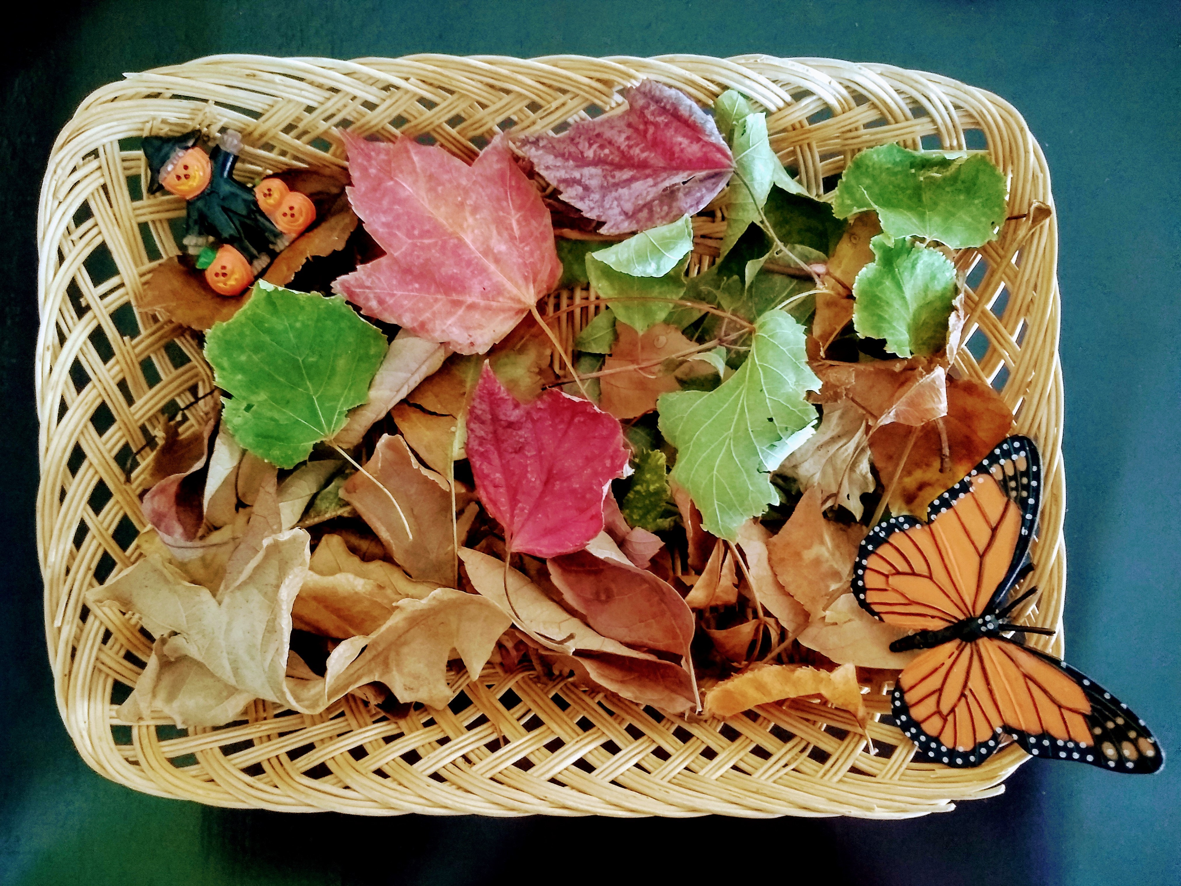 Leaf sensory bin