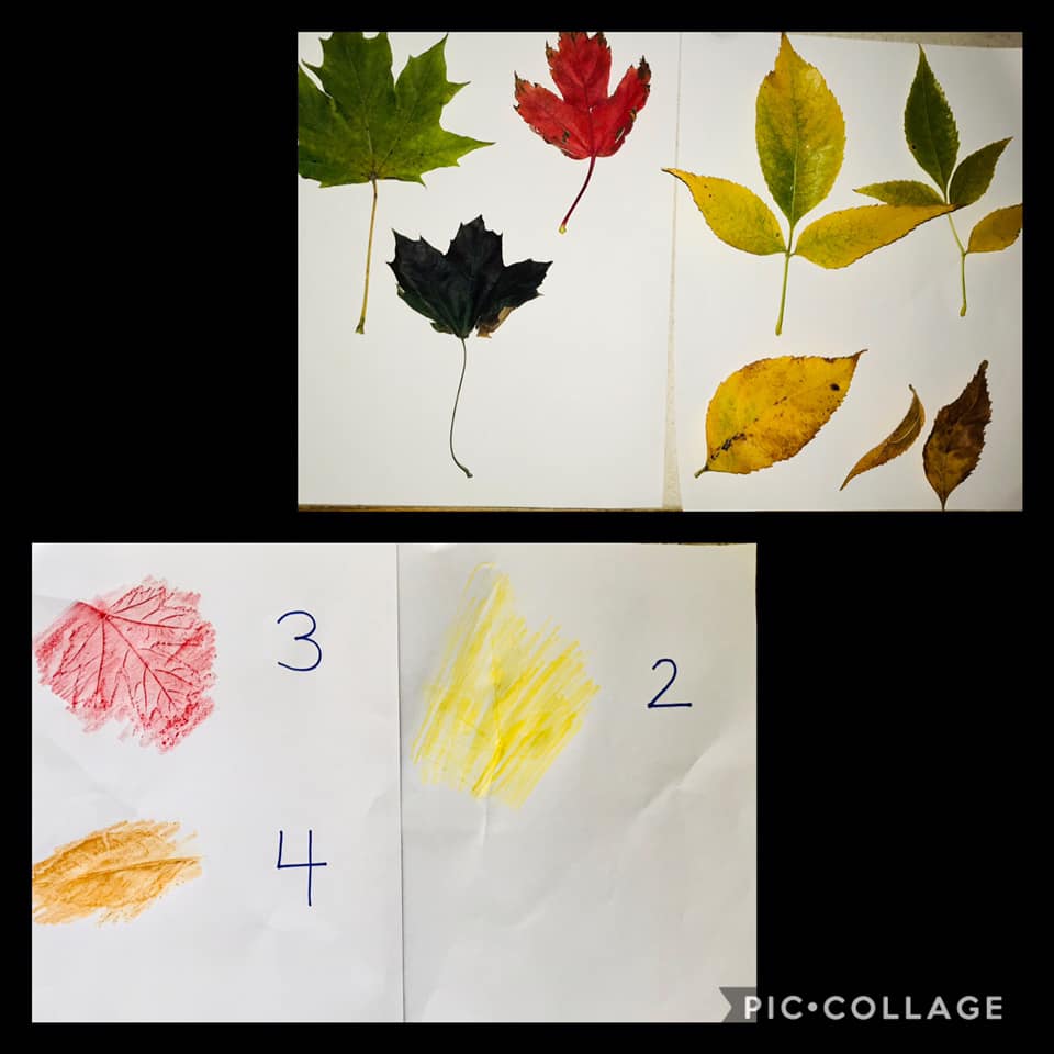 Leaf counting