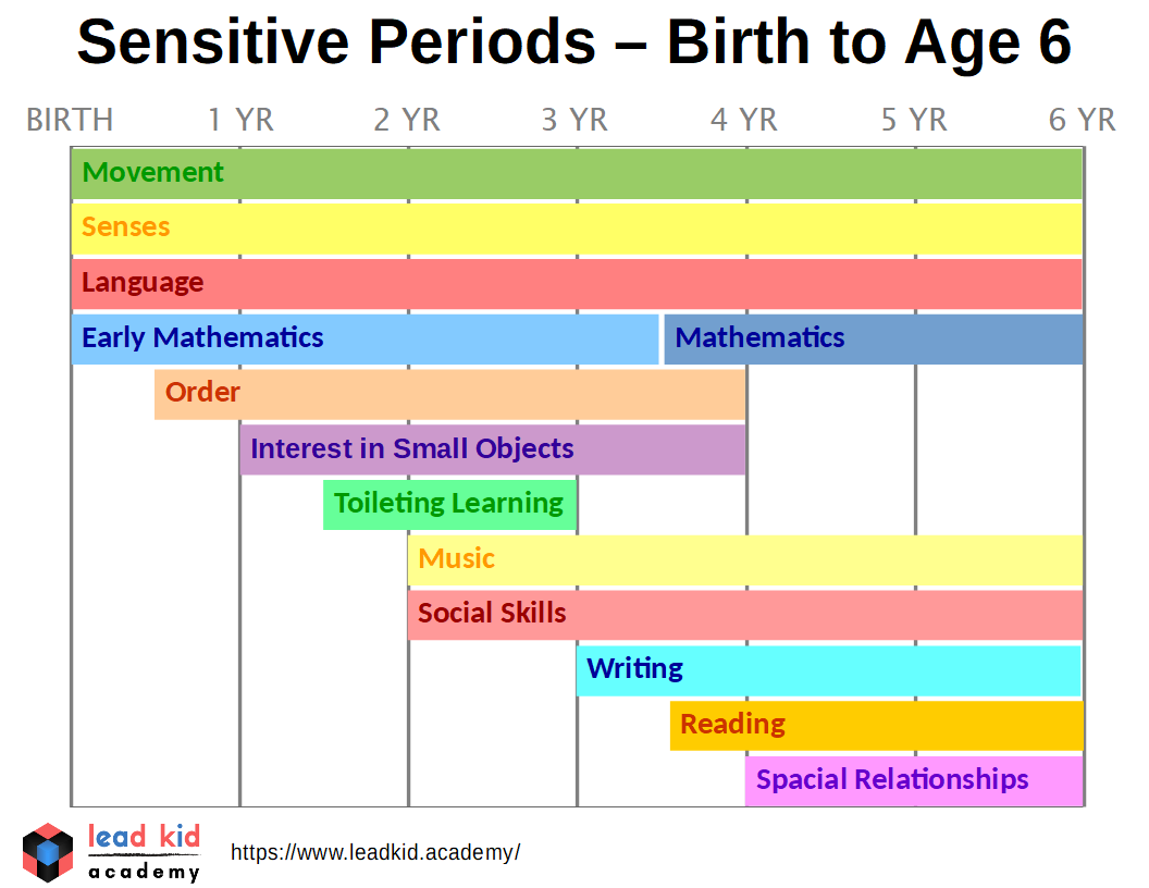 💄 Montessori sensitive period for language. Montessori theory What are